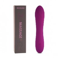 10 Speeds Rechargeable Silicone Purple Vibrator